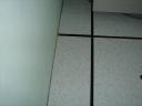 dsc01748.JPG